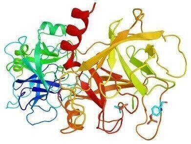 New SOLu-Trypsin Enzyme Brings Stability to Mass Spectrometry